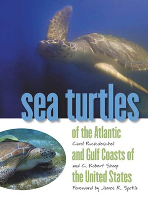cover image of Sea Turtles of the Atlantic and Gulf Coasts of the United States